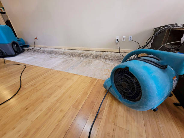Professional Basement Flood Cleanup technician working in Lascassas, TN